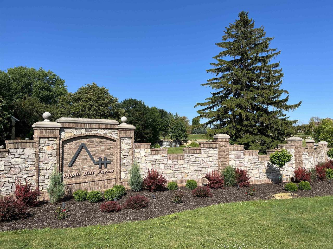 7305 Tiburon Lane - Photo 1