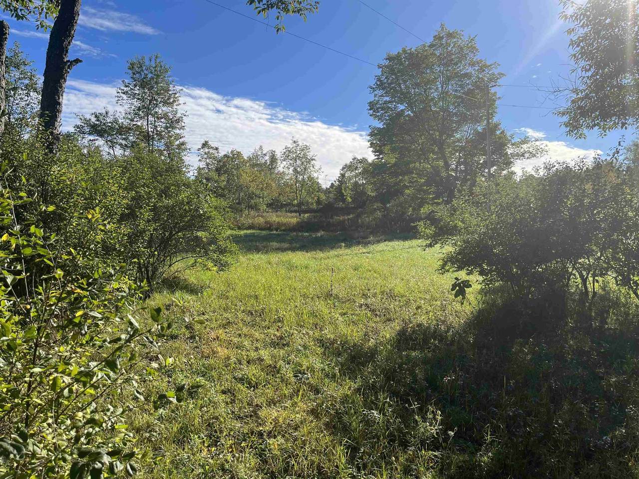 15820 Nolting Lane - Photo 1