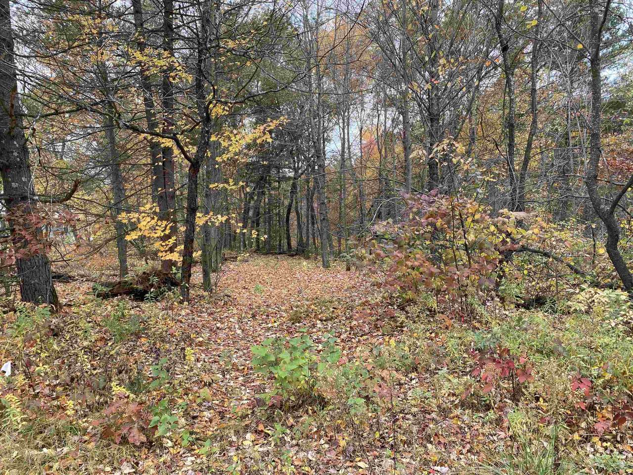 N1406 Mallard Bay Trail - Photo 1