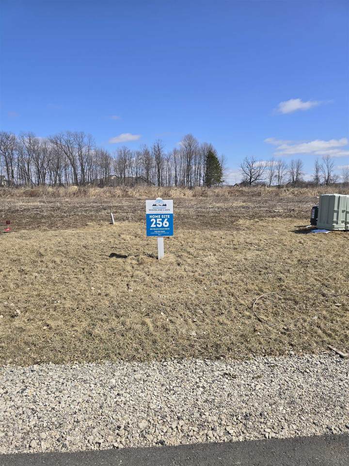 883 Black Swan Drive - Photo 1