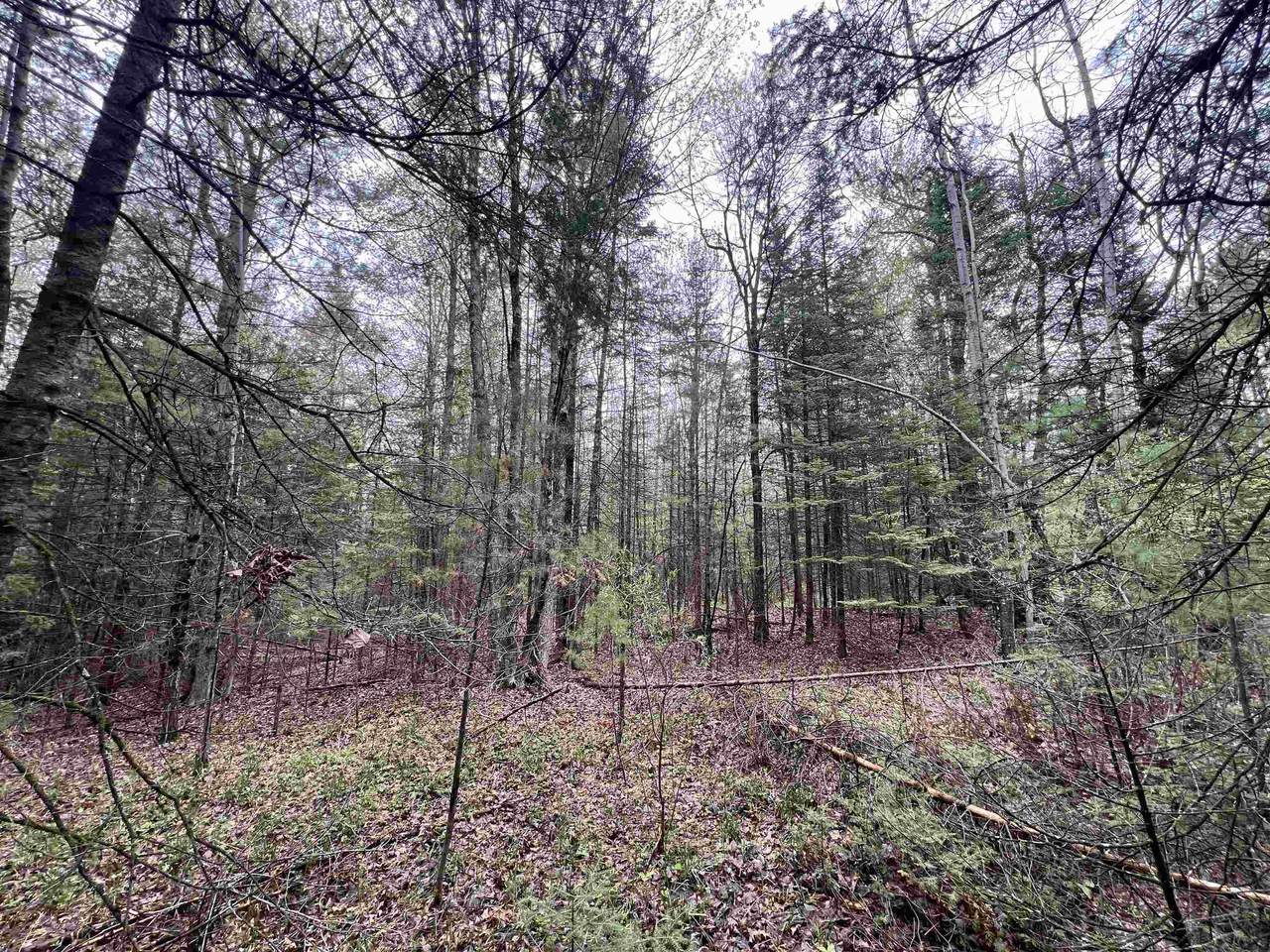 Bruette Road - Photo 1