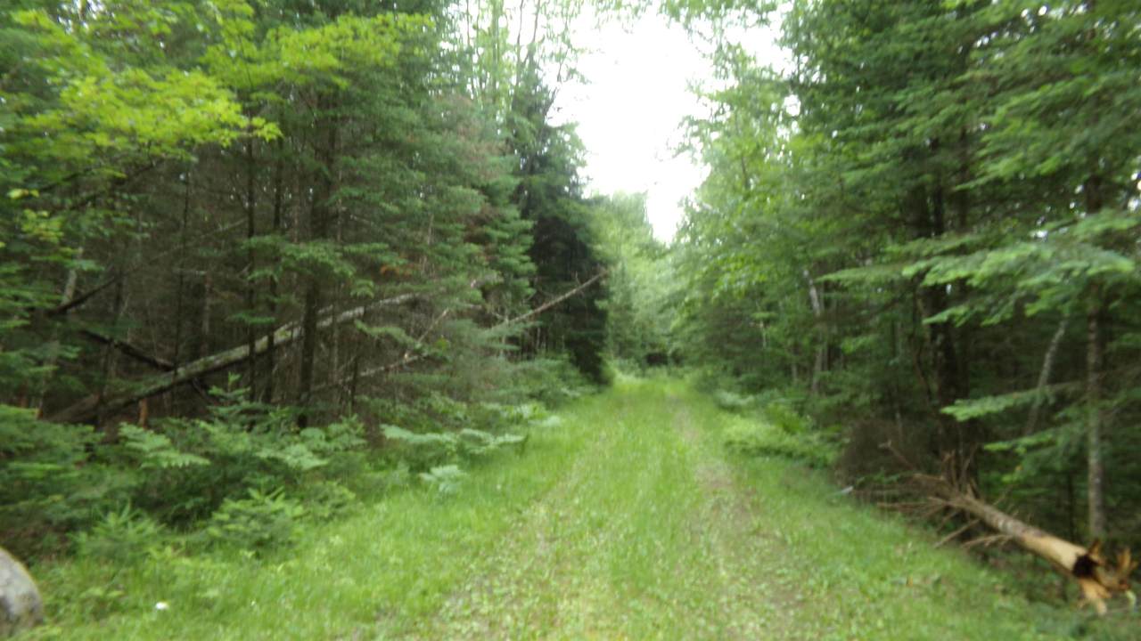 W16252 Butternut Road - Photo 1