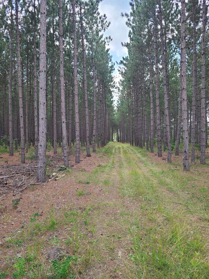N7299 Spike Horn Lane - Photo 1