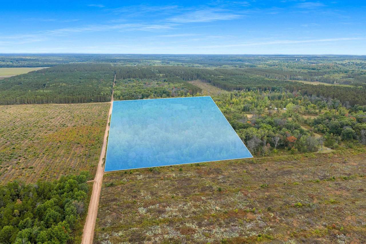  Forest 1628 Road - Photo 1