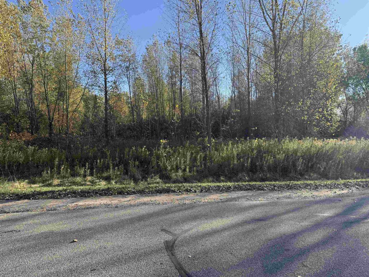  Willow Wood Street - Photo 1