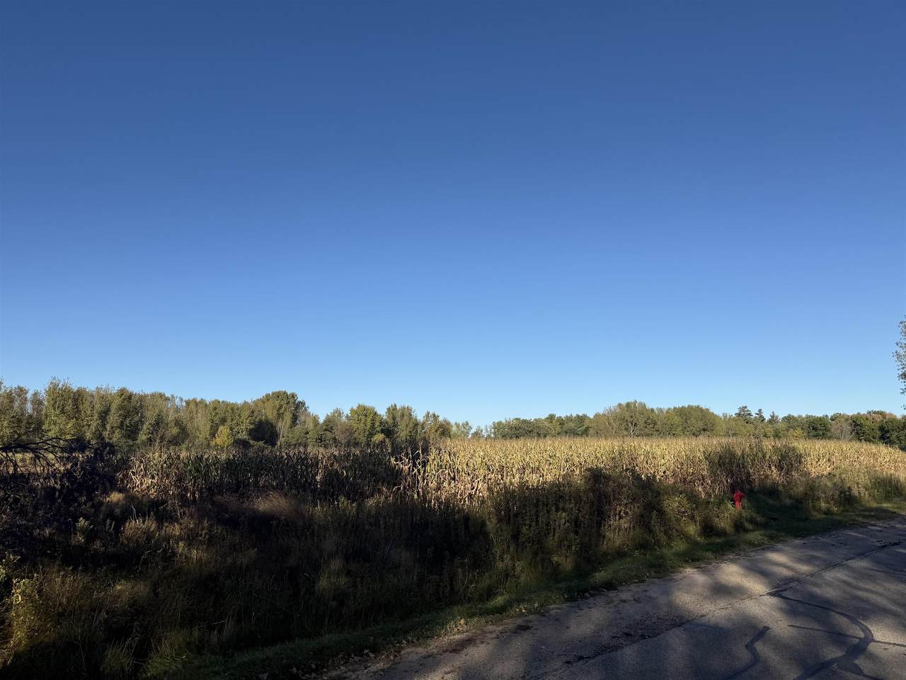  Willow Wood Street - Photo 1