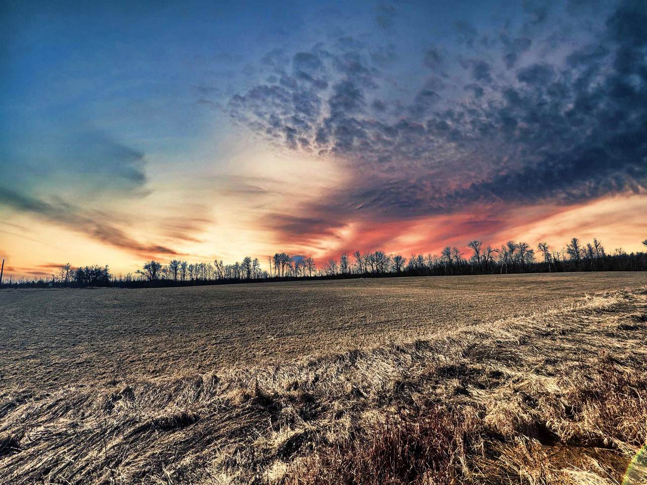  Sobieski 8 Road - Photo 1