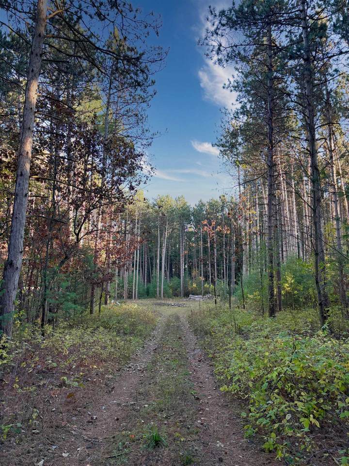 W3681 Twin Lane - Photo 1