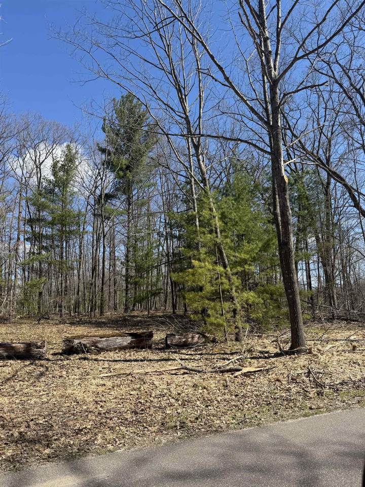  Archibald Lake Road - Photo 1