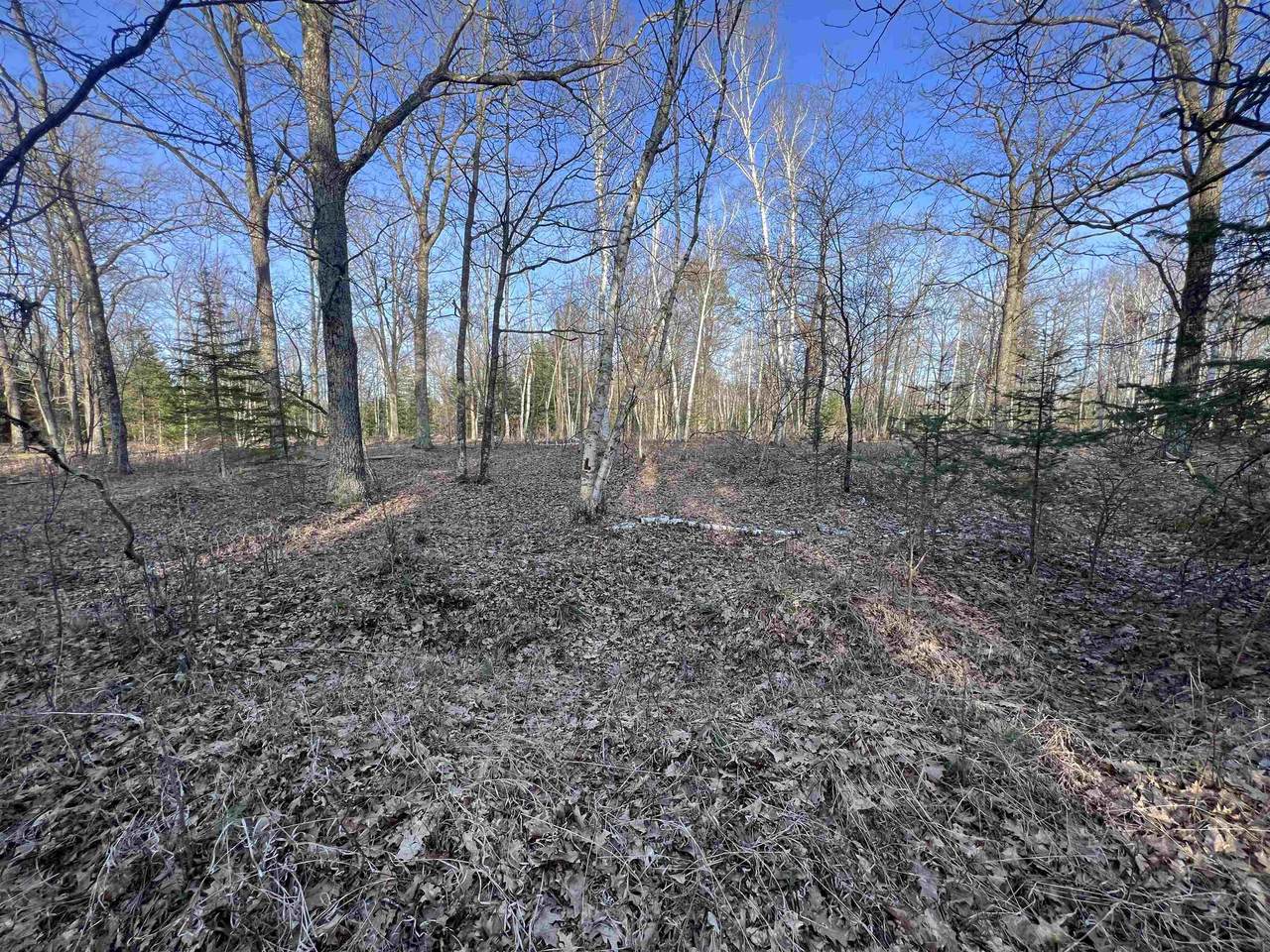 https://bt-photos.global.ssl.fastly.net/ranw/1280_boomver_1_50325319-1.jpg