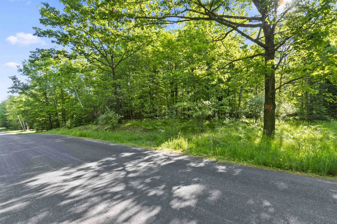  White Buck Lane - Photo 1