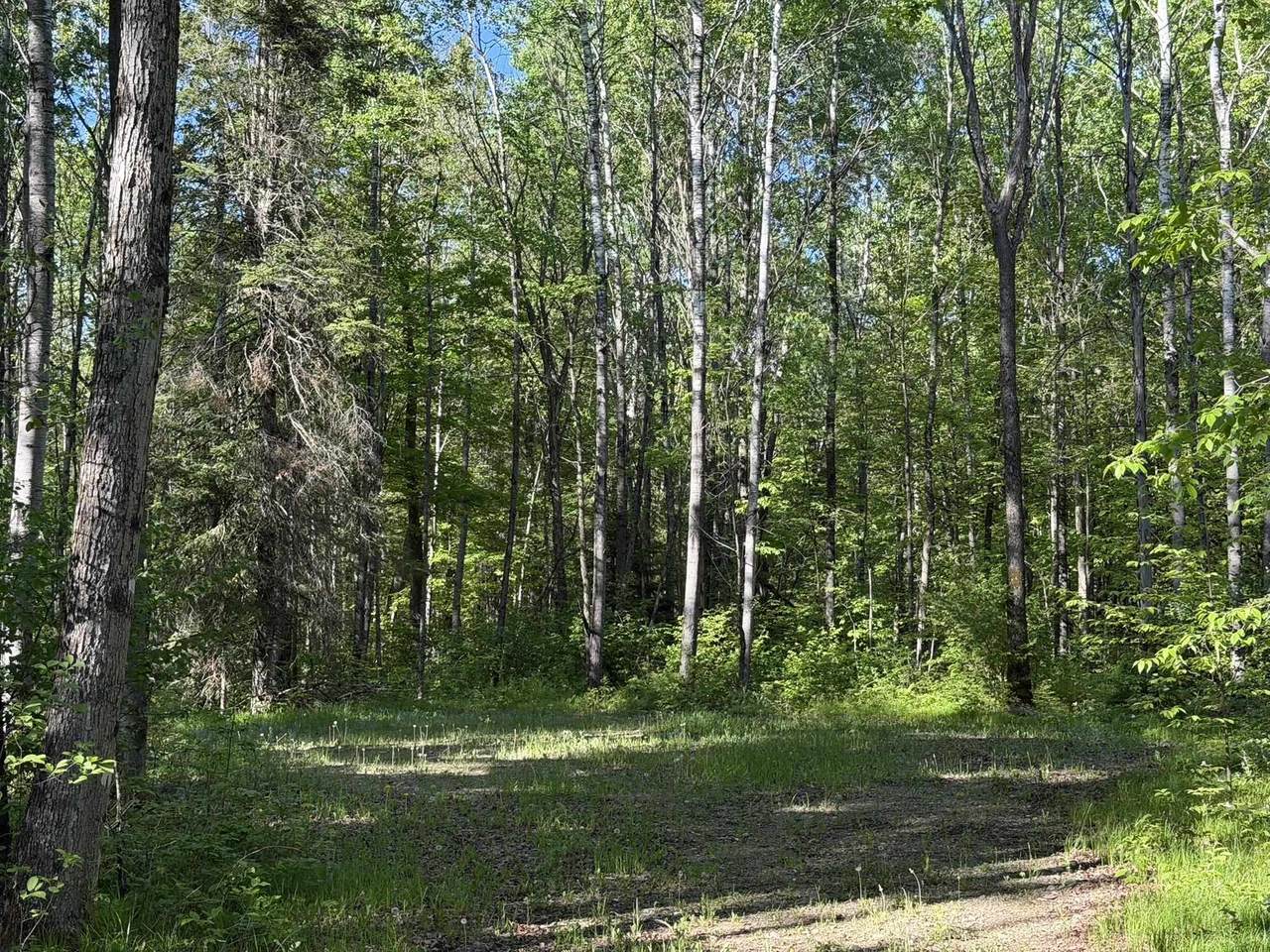  Dream Lake Road - Photo 1