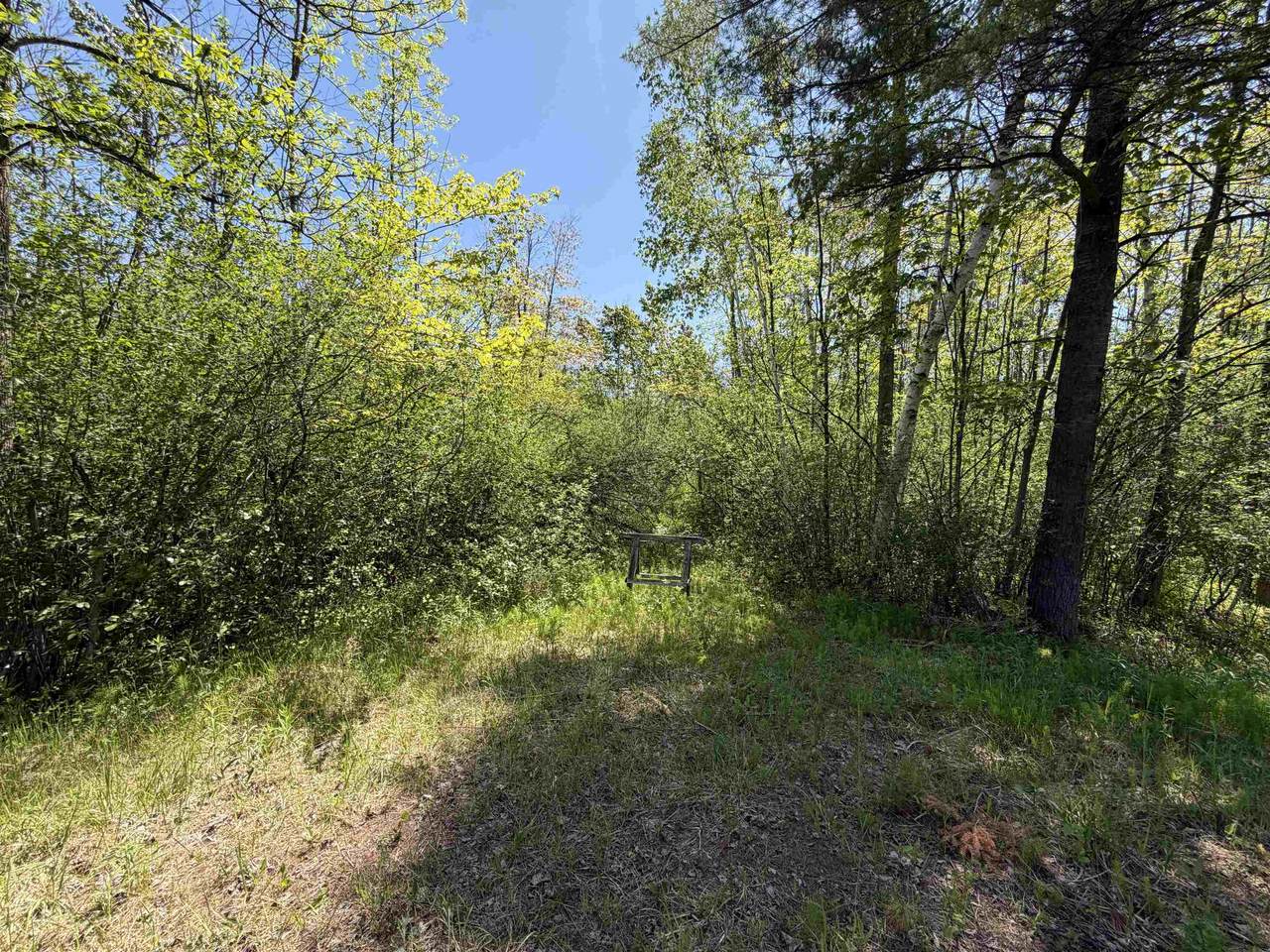  Rangeline Drive - Photo 1
