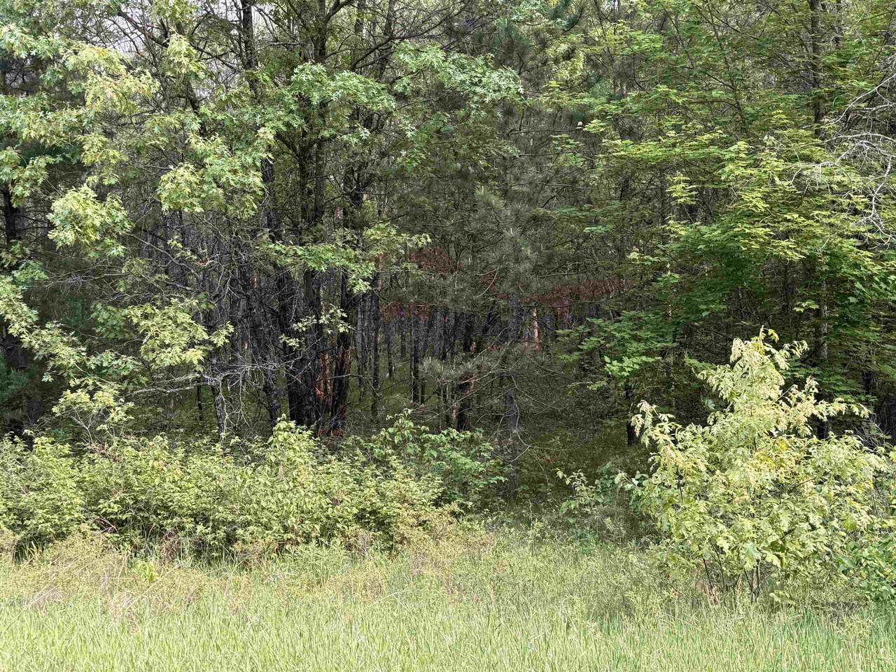 W1926 Great Bear Road - Photo 1