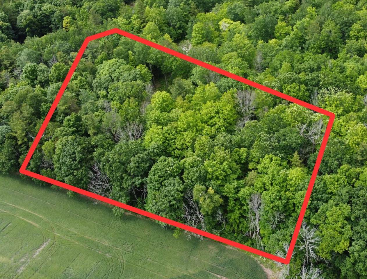 5699 Hyline Drive - Photo 1