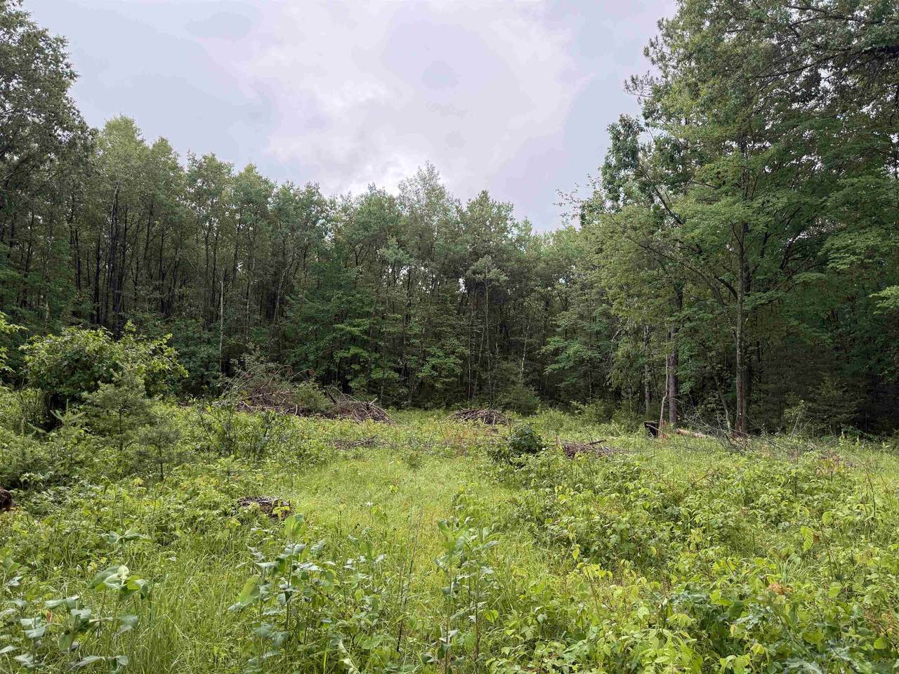 W1561 Hawks Nest Trail - Photo 1