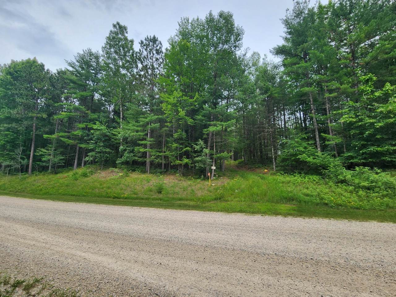 N11866 Menominee Shores Drive - Photo 1