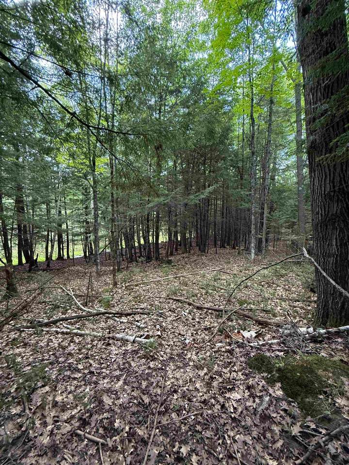  Deer Lane - Photo 1