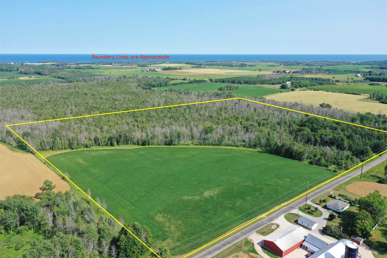  Wolf River Drive - Photo 1