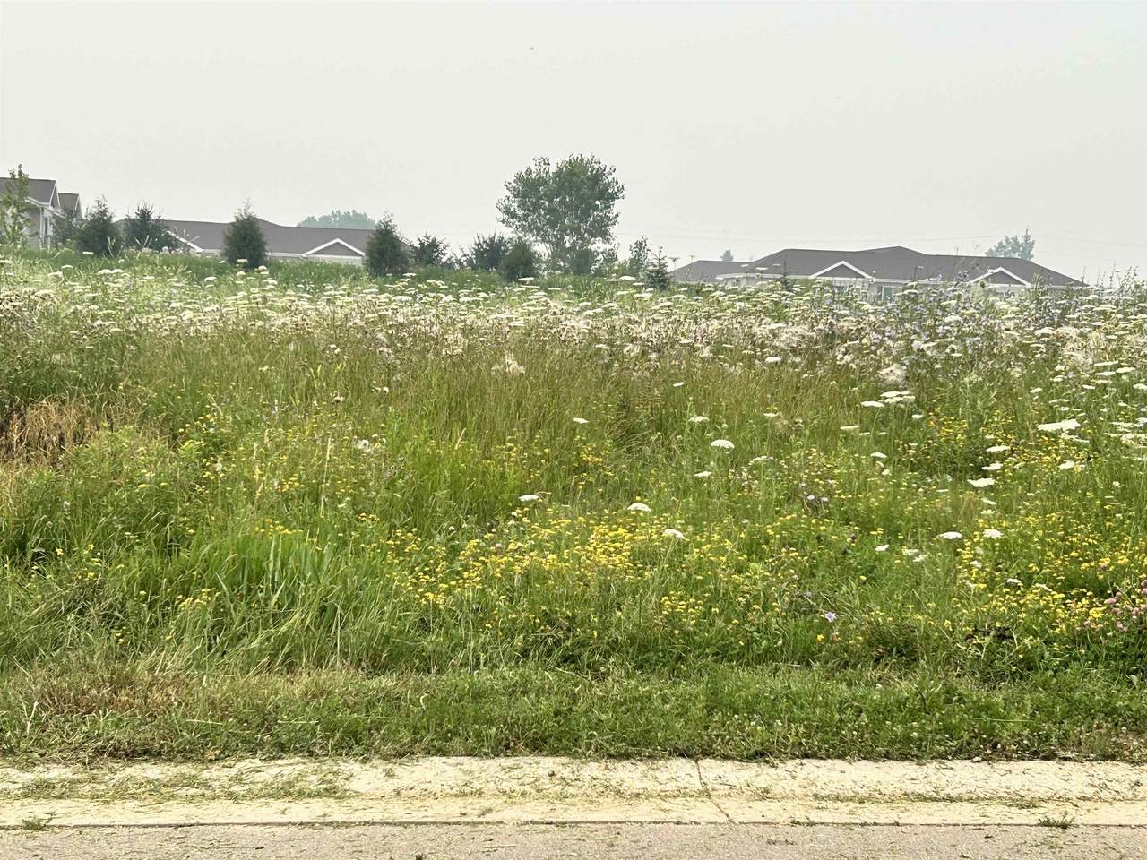  Prairie Lake Circle - Photo 1