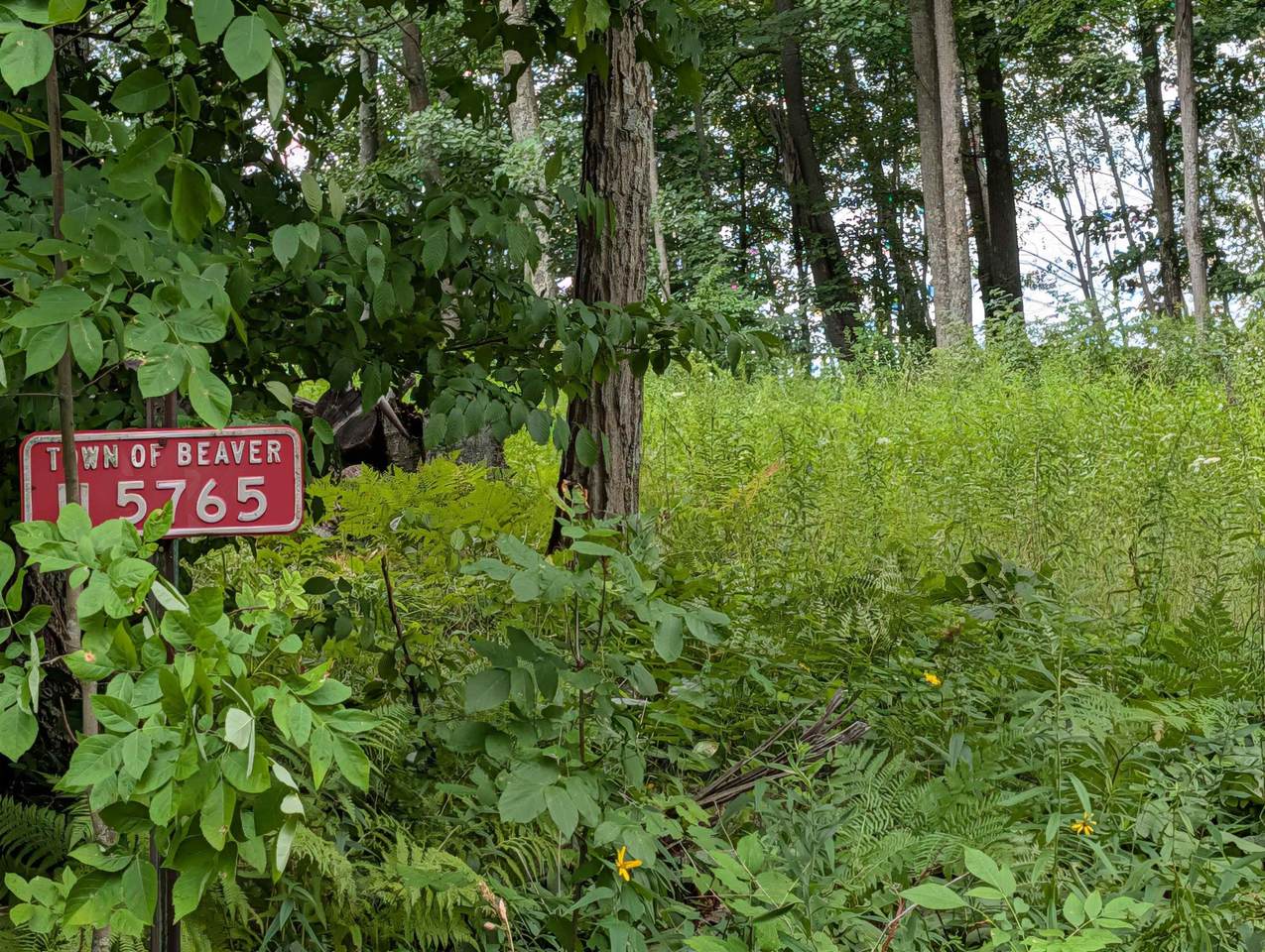 N5765 Parkway Road - Photo 1