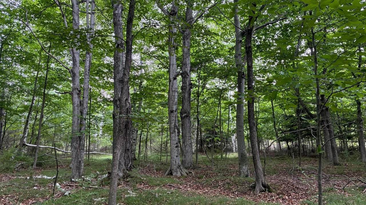 https://bt-photos.global.ssl.fastly.net/ranw/1280_boomver_1_50330486-1.jpg