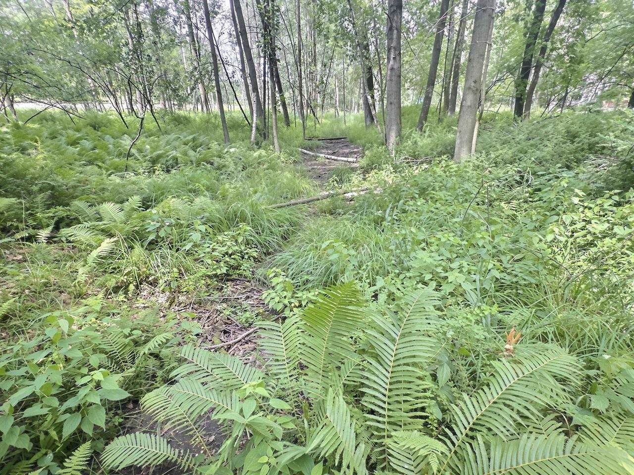 https://bt-photos.global.ssl.fastly.net/ranw/1280_boomver_1_50330792-1.jpg