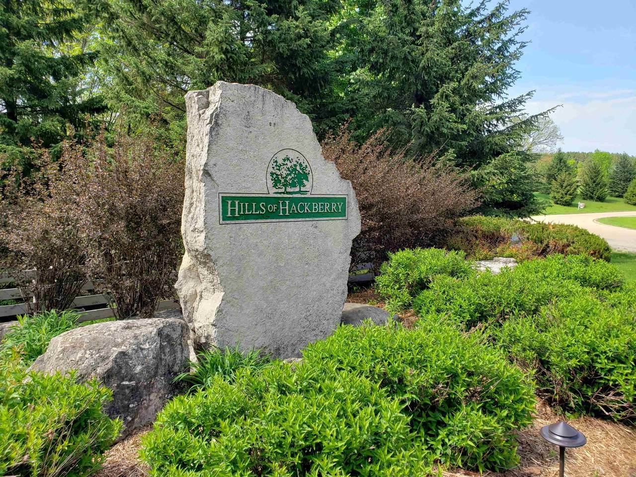 Hackberry Hills Drive - Photo 1