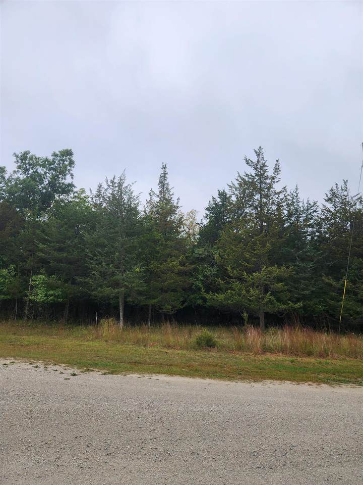  Kelsi Jean Court - Photo 1