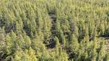 E3759 State Road 161 - Photo 21