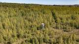 E3759 State Road 161 - Photo 24