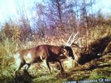 E3759 State Road 161 - Photo 36