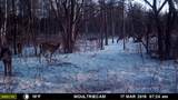 E3759 State Road 161 - Photo 40