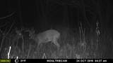 E3759 State Road 161 - Photo 42