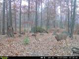 E3759 State Road 161 - Photo 47