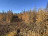 E3759 State Road 161 - Photo 51