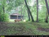 28043 Kickapoo Valley Road - Photo 10