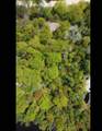  Menominee Shores Drive - Photo 2