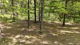 N1649 Spirit Ridge Road - Photo 10