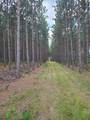 N7299 Spike Horn Lane - Photo 1