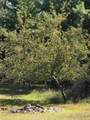 N10280 Deer Lake Road - Photo 45