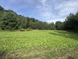  Kelly Road - Photo 14