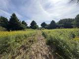  Kelly Road - Photo 37