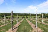 E1256 Johnson Road - Photo 52