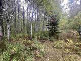  Dream Lake Road - Photo 3