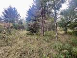  Dream Lake Road - Photo 4