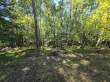 W10689 Benson Lake Road - Photo 33