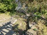 1217 Echo Lane - Photo 45
