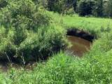  Spring Creek Road - Photo 2