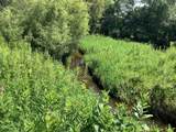  Spring Creek Road - Photo 3
